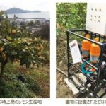 ICTとAI技術をレモン栽培に活用、広島県で栽培試験を開始